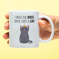 Mok I was the boss - thumbnail