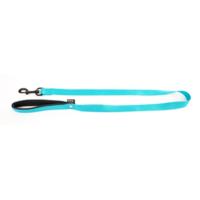 Martin hondenriem nylon turquoise - thumbnail
