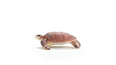 Schleich 14876 Karetschildpad Schleich 14876 Karetschildpad