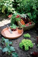 Elho Green Basics Plantenschotel Mild Terra Ø10cm - thumbnail