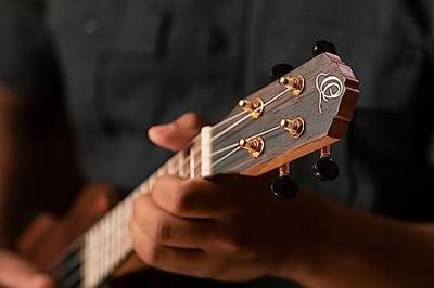 Ortega Ebony Series RUEB-SO sopraan ukelele met gigbag