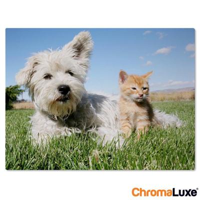 Foto op aluminium afdrukken - Wit (ChromaLuxe) - 15 x 10 cm