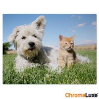Foto op aluminium afdrukken - Wit (ChromaLuxe) - 15 x 10 cm - thumbnail