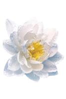 Christian Dior - Dior The Cleansing Milk 200ml Make-up verwijderaar en reiniger Dames - thumbnail