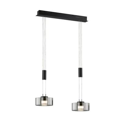 Fischer & Honsel 2-lichts hanglampLavin zwart - 61095
