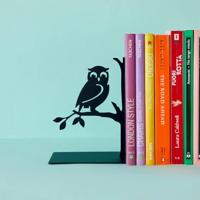 Uil Boekensteun - thumbnail
