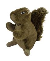 Wild Life Dog Squirrel (Eekhoorn) - thumbnail