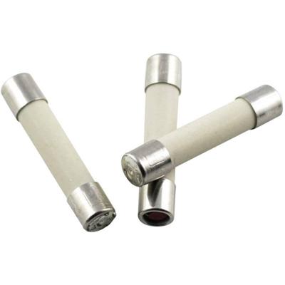 ESKA 52827 Buiszekering (Ø x l) 5 mm x 25 mm 10 A 250 V Normaal -mT- Inhoud 10 stuk(s)