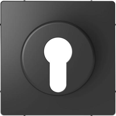 Merten MEG3886-6034 Afdekking System Design Antraciet 1 stuk(s)