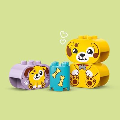 LEGO® DUPLO 10441 vormensorteerder puppyhuis