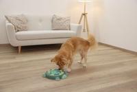 Puzzel/Leerspel - KERBL - Schildpad - Ø 25 cm - Turquoise - thumbnail