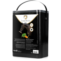 Sweet Carrot Blocks - thumbnail