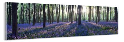 Schilderij -Lavendel in het bos, 120x40cm. Wanddecoratie, premium print