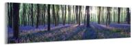 Schilderij -Lavendel in het bos, 120x40cm. Wanddecoratie, premium print - thumbnail
