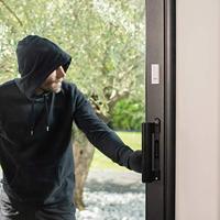 Netatmo DTG-deur- en raamsensor - thumbnail