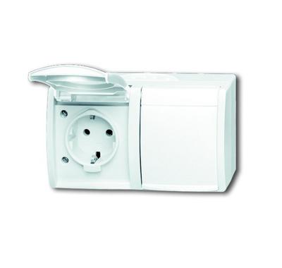 Busch-Jaeger 20/2 EW-54 Ocean (opbouw) Wandcontactdoos dubbel spatwaterdicht Wit