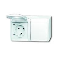 Busch-Jaeger 20/2 EW-54 Ocean (opbouw) Wandcontactdoos dubbel spatwaterdicht Wit - thumbnail