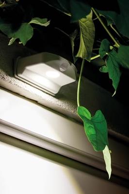 OSRAM HOMELIGHTING DoorLED Down Sensor 4000K White 4099854531439 LED-nachtlamp met bewegingsmelder OSRAM HOMELIGHTING DoorLED Down Sensor 4000K White 4099854531439 LED-nachtlamp met bewegingsmelder