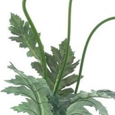 Poppy spray Casper orange 93 cm kunstbloem Erutan Avon - Erutan avon