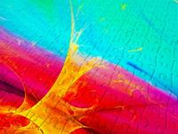 Rainbow Fractals Puzzel 1000 Stukjes - thumbnail