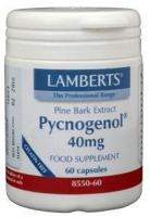 Lamberts Pycnogenol 40 mg Capsules - thumbnail