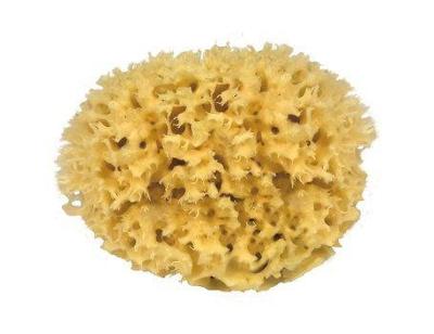 Croll & Denecke Natuur spons voor het lichaam