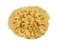 Croll & Denecke Natuur spons voor het lichaam - thumbnail