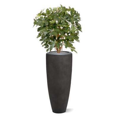 Schefflera kunstplant 80cm