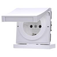 Gira F100 wandcontactdoos met randaarde, klapdeksel en KBV zuiverwit glanzend