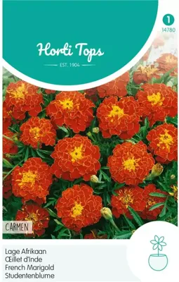 Zaden Tagetes lage Afrikaan Carmen Hortitops - Hortitops