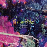 Diskothek Maria Elend - CD (4260256750418) - thumbnail