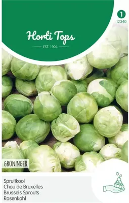 Zaden Spruitkool Groninger Hortitops - Hortitops