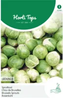 Zaden Spruitkool Groninger Hortitops - Hortitops - thumbnail