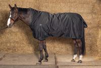 Harry's Horse Outdoordeken Thor 200 Highneck - thumbnail
