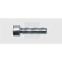 SWG 4009146067799 Inbusschroeven 8 mm 20 mm Binnenzeskant (inbus) Staal Verzinkt 100 stuk(s) - thumbnail