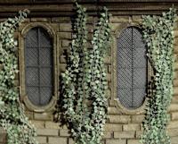 MBZ 80109 Takken Klimop Groen - thumbnail