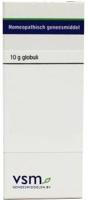 VSM Mercurius corrosivus D30 (10 gr) - thumbnail
