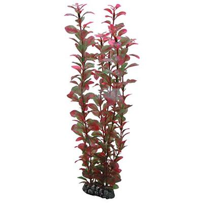 Plantasy set 3 decoratie planten Hobby Smulders - Smulders Plantasy set 3 decoratie planten Hobby Smulders - Smulders