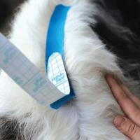 Blue 6 cm x 5 m rol 1st - thumbnail