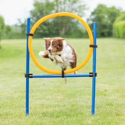 TRIXIE Fun-Agility Hoepel set, blauw-geel - thumbnail