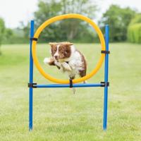 Trixie Fun Agility Ring hond - thumbnail