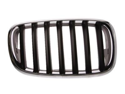 Radiateurgrille 6502070096992P