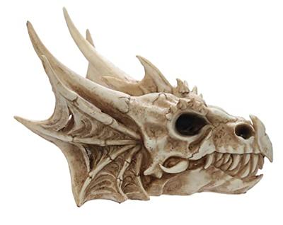 Draak Schedel Decoratie