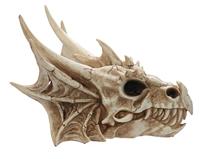 Draak Schedel Decoratie - thumbnail