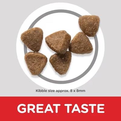 Hills Pet Nutrition S.L. SP Feline Kitten Heal Dev. Kip, 1.5kg, 604048, 400g