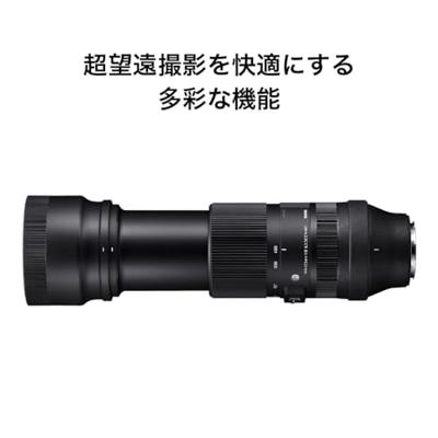Sigma 100-400mm F5-6.3 DG DN OS (C) L-Mount