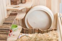 TRIXIE LOOPRAD HOUT 21 CM - thumbnail