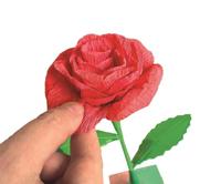 Clementoni create your flowers -rose - thumbnail