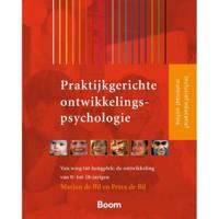 Praktijkgerichte ontwikkelingspsychologie (Paperback) - thumbnail