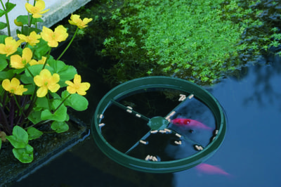 Vijveraccessoires Visvoederring Ubbink - Ubbink